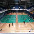 Professionele indoor badmintonmatten