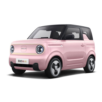 Geely EV Panda Mini 3 Doors-4シート