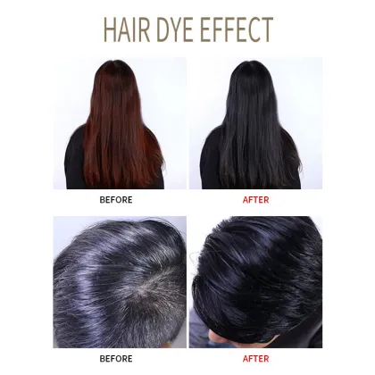 Fast Black Hair Dye Shampoo with Natural Herbal Formula for White to Black Hair, 500ml Family Pack