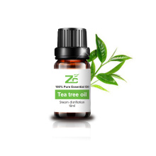 Minyak esensial pohon teh untuk meningkatkan rambut