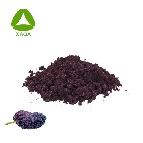 ISO9001 Superfood Pure Orgánica Mulberry Powder