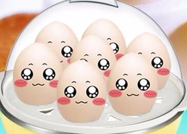 Cheap Egg Boiler