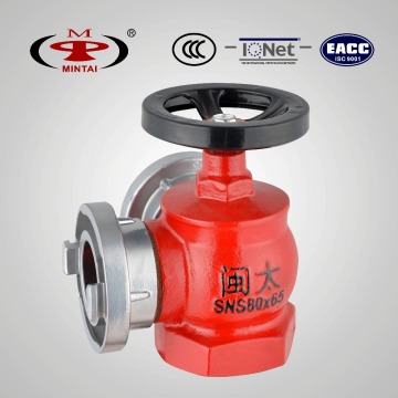 80 mm Single Valve Double Outlet Ductile Indoor Fire Hydrant SNS80/65