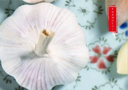 Chinese cold storage Pure White Garlic price