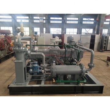 China Wholesale Market: Latest Trends in CNG and Biogas Compressors
