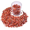 Chip South Red Agate Beads for Home Decoration & Decor Making Jewelry 100Gram