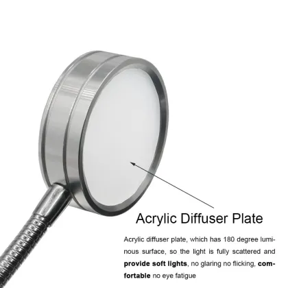 Flexible LED Wall Lamp with Gooseneck and Plug-in Cord
