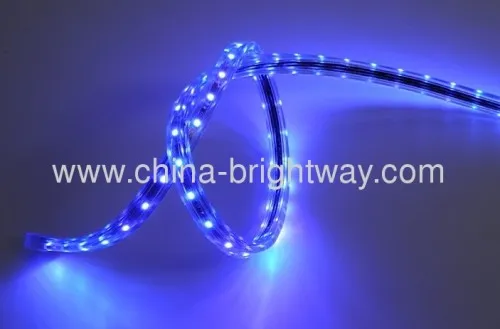Waterproof Ip65 Smd5050 60 Led Flexible Strip Light 