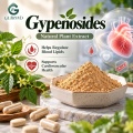 Gypenosides 20%–98% Extrato de Gynostemma pentaphyllum para formulações cosméticas e alimentícias