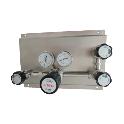 Haoliu Stainless Steel Gas Control Panel Pressure Regulator