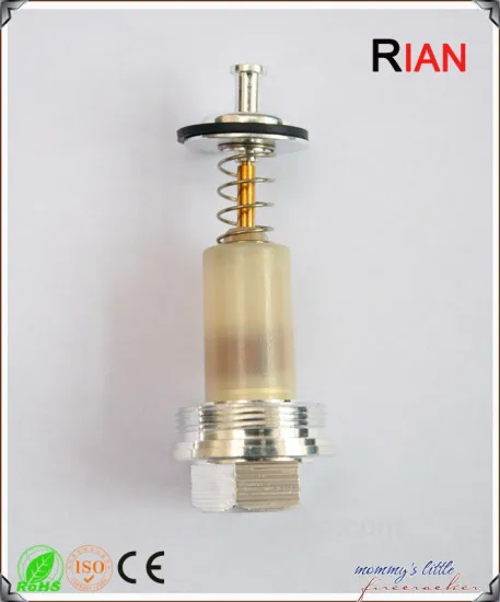 High quality gas magnet valves/refrigeration magnetic check valveRBDQ20A