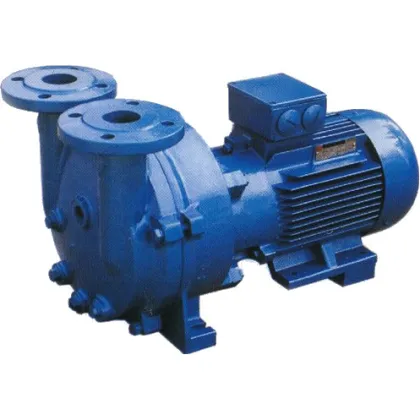 2BV2 070-EX NASH Single Stage Explosion-Proof Vacuum Pump, 3 HP
