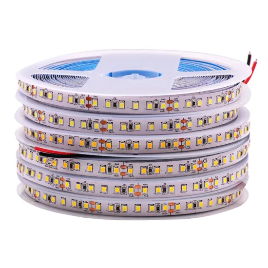 2835 White LED Light Strips - 120/240 LEDs per Meter for Decoration and Wholesale Purchase
