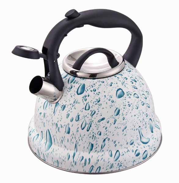 Rust-resistant kettle BPA-free whistling