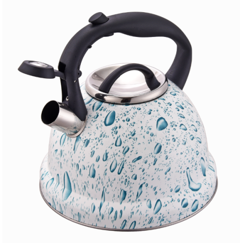 Rust-resistant kettle BPA-free whistling