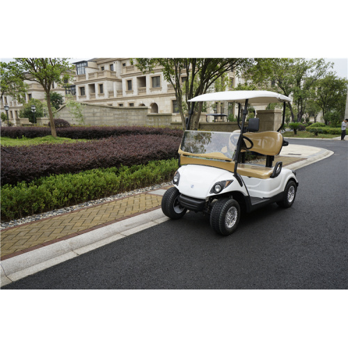 2 seater 150cc samll petrol engine golf cart