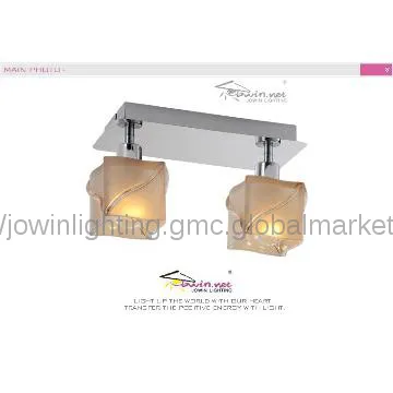 Contemporary Ceiling Lamps