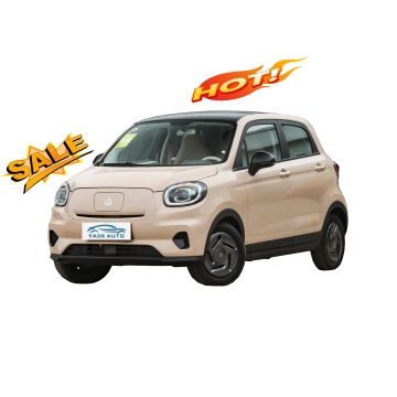 재고 2024 LeapMotor T03 장거리 전기 자동차