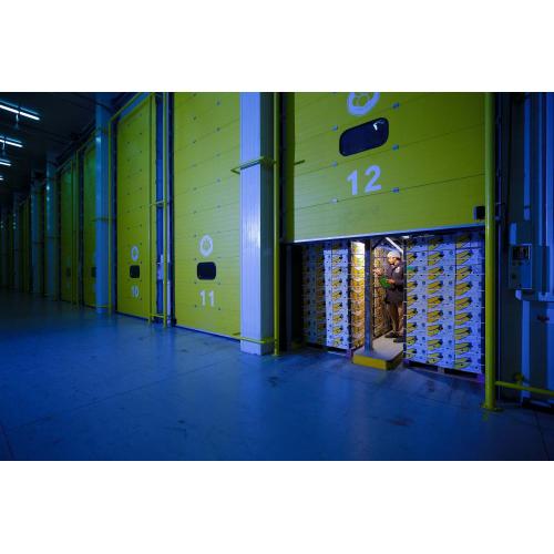 Quick action PVC high speed cold storage gate