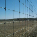 2017 baru wire mesh lapangan pagar rusa