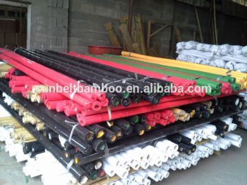 ski bamboo pole