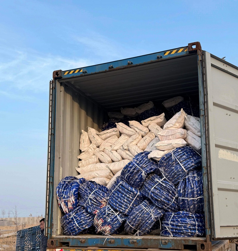 Ruisilaifu Secures 4 Container Orders from Togo on New Year's Day, Ushering in an Era of Global Customization for Sino-African Industries!