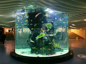 Professional Designer Large Cylinder Aquarium Indoor/Outdoor