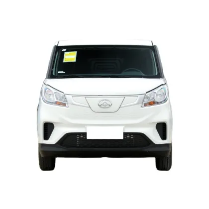 Saic MAXUS EV30 Electric Cargo Van - New Energy Vehicle