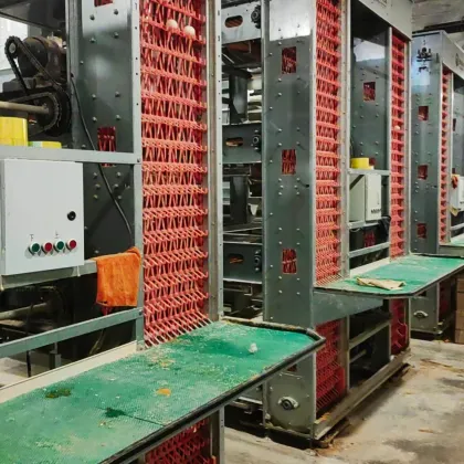 Automatic Egg Packing System for Poultry Farms