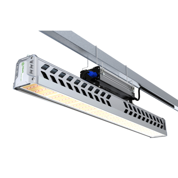 Platinum Dimmable LED Grow Light Controller Panels for Chinese Factories 2022
