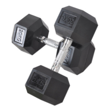 Dumbbell Hexagon Steel and Plastic Dumbbell