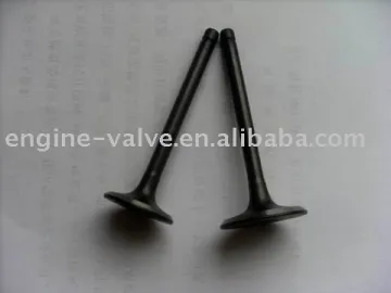 auto engine valves for TOYOTA