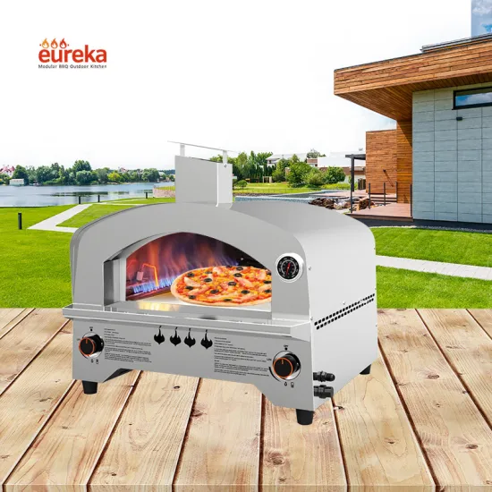 Combined Design Stainless Steel Electric_Ovens Gas Burners for Propan Pizza Ovens