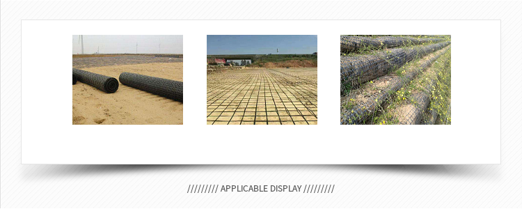 plastic geogrid (6)