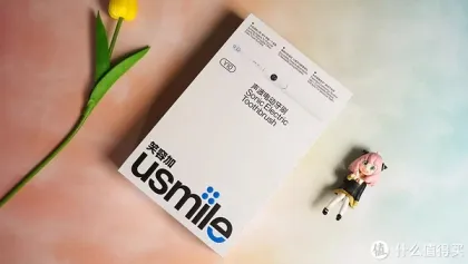 Sonic Vibration Electric Toothbrush