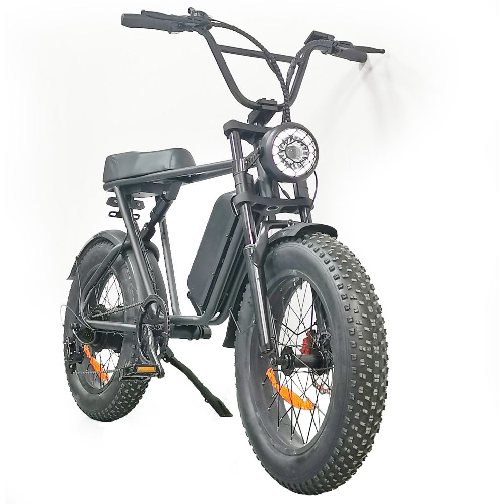 Gofunow Electric Bike Motorcycle 12 Jpg
