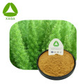 Radix Asparagi استخراج مسحوق الصحة والطب