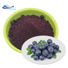 Organic Fruit 100% Pure Freeze Dried Blueberry Powder