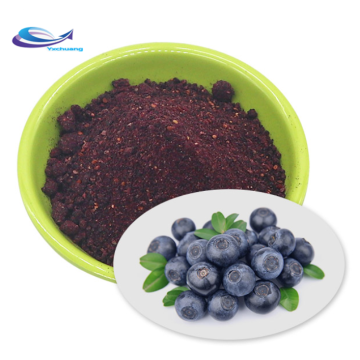 Organic Fruit 100% Pure Freeze Dried Blueberry Powder