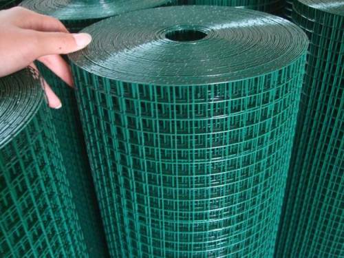 Cheap Galvanized / Bird Cage PVC Coated Welded Wire Mesh