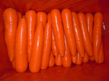 2014 China Fresh Carrot (S, M, L)
