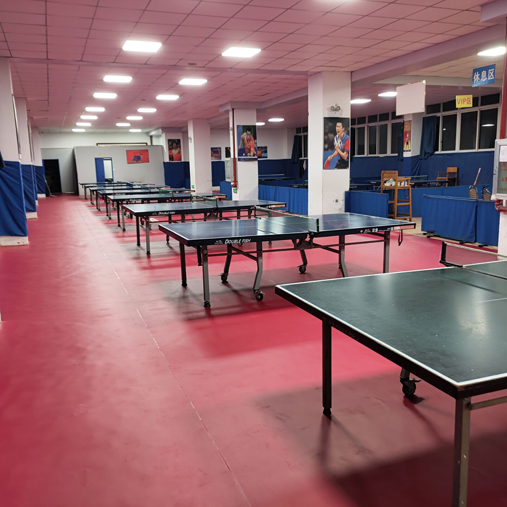 Table Tennis Court 35