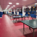 sport floor for table tennis court