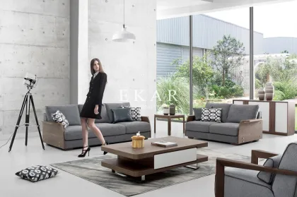European Style Furniture New Model Fabric Wooden Normal Sofa