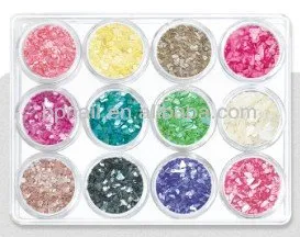 Shell Powder Set For Nail Art