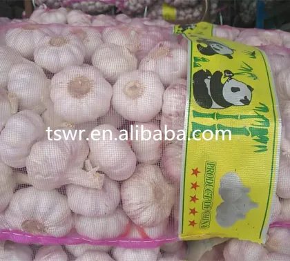 food grade china fresh garlic