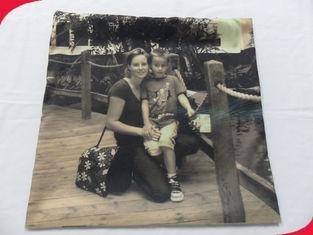 16*16 cm Picture Brushed Polyester Personalized Pillow Case