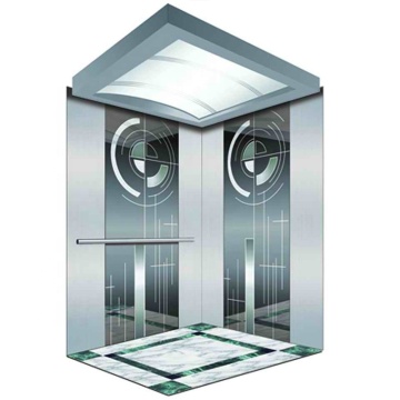 Fuji Custom AC Drive Type Passenger Elevator Price in China