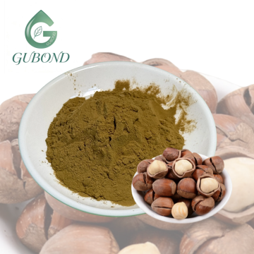 Natural Gallnut Extract Powder Bulk