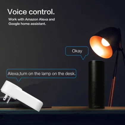 Wireless Echo 240V Wall Power Zigbee USB Home US Smart Outlet Wifi Socket Plug TUYA